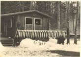 Miramichi Salmon